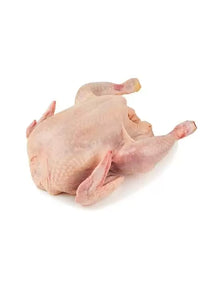 Coquelet