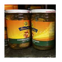 Champignons Terfes Sharon Valley